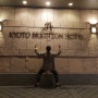 일본 넓은 호텔 추천 교토 브라이튼 호텔에서 2박3일 후기!