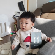 이런 십개월!(?) 10개월 아기, 지한이의 성장일기 (생후11개월까지)