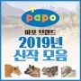 2019년 파포 PAPO 신제품 소식