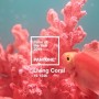 2019 Pantone, Colour of the Year - "리빙 코랄(Living Coral)" (2019 팬톤 올해의 컬러)