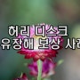 허리디스크 후유장해 보상사례