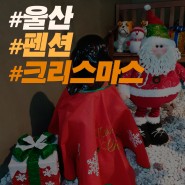 울산 주전펜션의 크리스마스 갈만한 곳~!