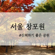 [도봉구 가볼 만한 곳] 서울 창포원 #산책하기 좋은 공원
