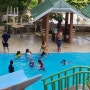 필리핀 자유여행(15) 보홀(BOHOL) 현지인도 즐기는 Roxas Park swimming pool에서 즐거운 하루...^^ (2018.08.11~19)
