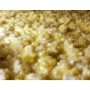 쌀막걸리 누룩만들기 황국쌀
