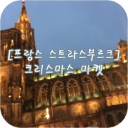 [프랑스] 스트라스부르크 크리스마스마켓 (유럽 3대 크리스마스마켓)