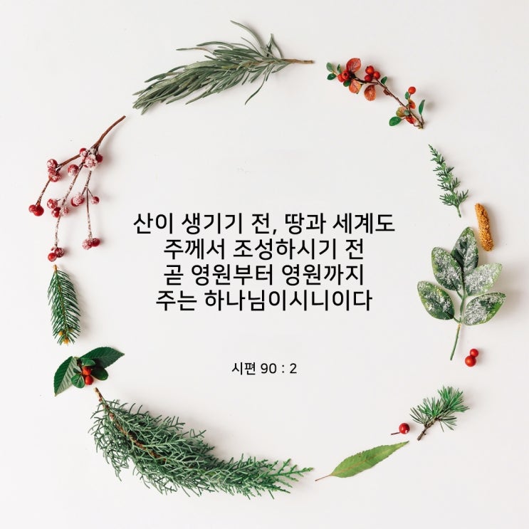 [12:25 성탄 묵상] 크리스마스를 위한 지저스 콜링 : 네이버 블로그