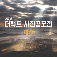 2018 더팩트 사진 공모전 대상 수상