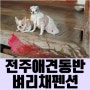 전주 애견동반 숙박 벼리채 한옥마을 즐기기에 딱