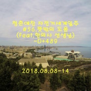 #56.(청춘예찬 자전거세계일주) 뜻밖의 도움(Feat.한의사 선생님),~D+489