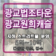 광교원희캐슬 - 강력 추천 ! 지하스트리트몰 상가 분양 / 미대출 수익률 5.5 %