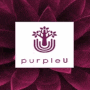 PurpleU 퍼플유 사업설명