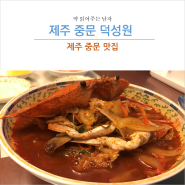 제주 덕성원 꽃게짬뽕 : 제주 중문 맛집