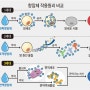 1세대 2세대 3세대 항암제