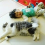 육아육묘 - 아기와 고양이 함께 키우기 일상