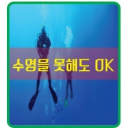 수영을 못해도 스킨스쿠버를 배울수 있나요