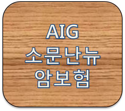 AIG소문난new암보험1801 주요플랜 보장내용분석