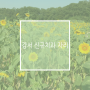서울 강서 신규치과 자리