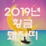 2019년 황금돼지띠, 다양한 이야기