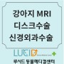 강아지디스크수술 /추간판탈출증 /신경외과전문 동물병원 /강아지MRI