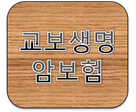 교보생명 암보험 갱신형분석