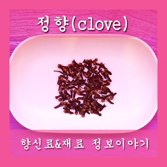 향신료 정향 [ clove ] 정보에요!! : 네이버 블로그