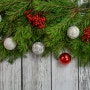 크리스마스 트리는 무슨 나무 일까?