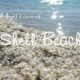 서호주여행-모래대신 조개가 가득한 셸비치,스트로마톨라이트가 있는 해멀린 풀, Denham beach산책
