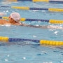 에코 스포츠센터 수영 평영 접영 배영 ~