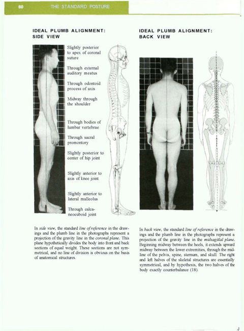 이상적 추 정렬 (Ideal Plumb Alignment) : 네이버 블로그