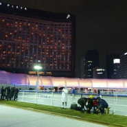 서울시청 스케이트장 시간, 이용금액 그리고 온라인예매
