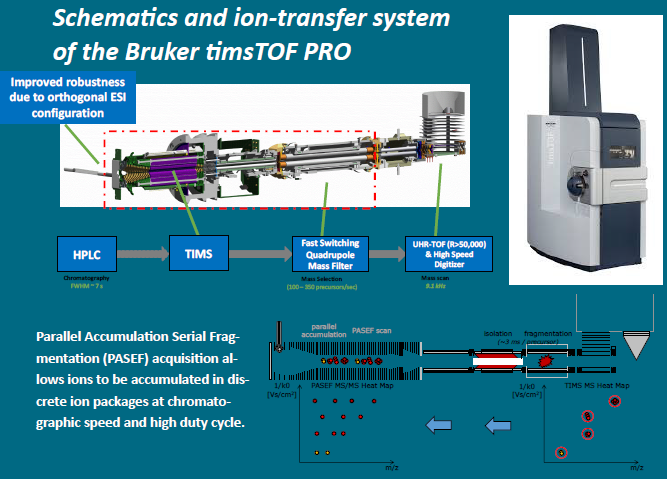 [Bruker Q-TOF] timsTOF Pro - PASEF의 PTM (posttranslational ...