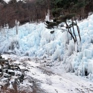 [달성군소식] 비슬산 자영휴양림 겨울체험