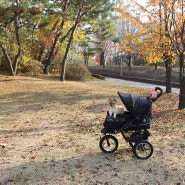 강아지유모차 펫기어 정품 NV 에어타이어 중소형견 개모차