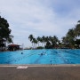 코타키나발루 수트라하버 마리나클럽 수영장 즐기기