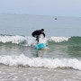 [내남자의 서핑이야기] 부산 송정 서핑 파도가 없을땐 패들링 파닥파닥 ! (20181014) 입수 9회차