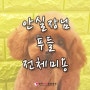 청라 애견미용 / 청라 푸들미용 [ 고 * 이 ] 후기 by. 청라 루비동물병원