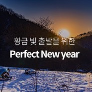 [이벤트] 기해년, 황금 빛 출발을 위한 "Perfect New year Promotion"