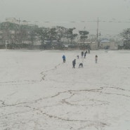 제주 한달살이 주의점