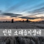 [D850] 인천, Sorae Ecology Park [ 인천 풍경/ 인천 풍경 명소/ 소래습지생태공원 / 새벽출사 ]