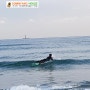 [내남자의 서핑이야기] 부산 송정 서핑 서프홀릭에 둥지를 틀다 (20181124) 입수 15회차