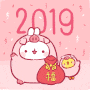 몰랑이와 2019년 카운트 다운! 새해 복 많이 받으세요~!