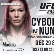 [UFC 232] 코메인이벤트 크리스 사이보그 VS 아만다 누네스 하이라이트 / 리뷰