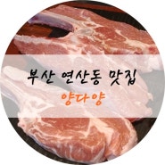 [부산맛집ㅣ연산동 양고기집] 멈출수 없는 양갈비, 양등심! 양다양