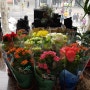우리 엠치과신암점에 봄이왔어요! 예쁜 꽃선물!