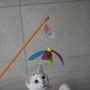 고양이,반려묘키우기) 국민 고양이 장난감~ 펫츠루트 카샤카샤 붕붕 낚시대 벌