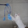 고양이,반려묘키우기) 핸들러 매쉬튜브 캣 블루티저 방울 고양이 장난감
