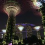 싱가포르 : Gardens by the bay #가든스바이더베이 #슈퍼트리쇼 #글로벌인플루언서파티
