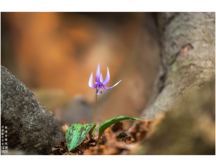 하나님 사랑 이웃 사랑(마 22:34~46절, 2019년 4월 2일 성경묵상) : 네이버 블로그