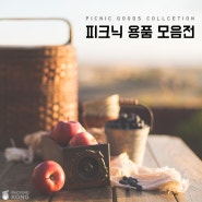 봄 소풍도시락/도시락용기 패킹콩에서 소량으로 준비하세요